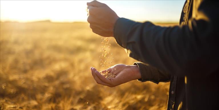 Ansvarsfullt företagande