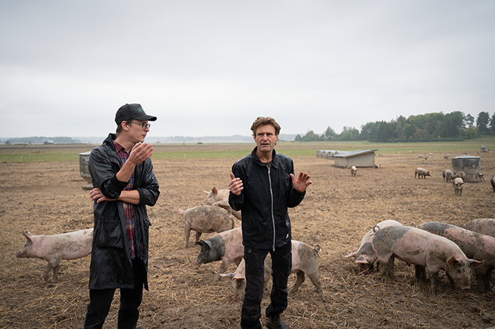 Joel Linder och Olle Linder driver Åsbergy Gård utanför Knivsta. Här står det i hagen tillsammans med gårdens grisar.