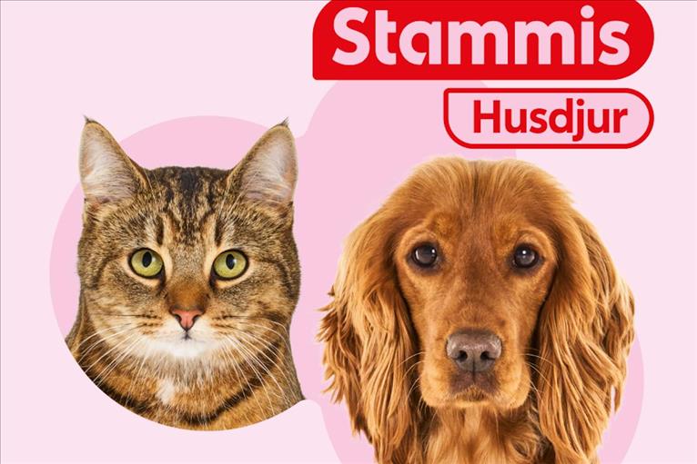 ICA lanserar Stammis Husdjur
