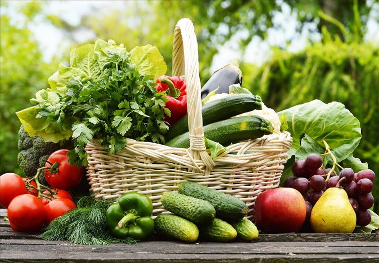 Sustainability governance