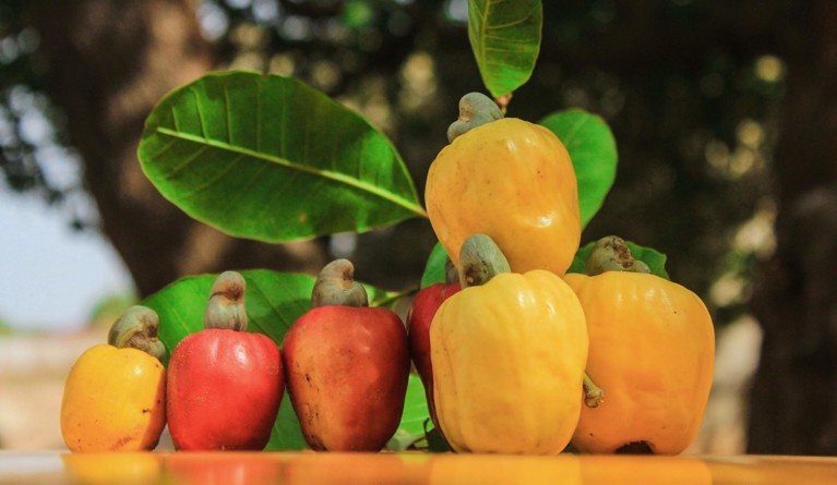 Foodtechbolagen som vill revolutionera branschen