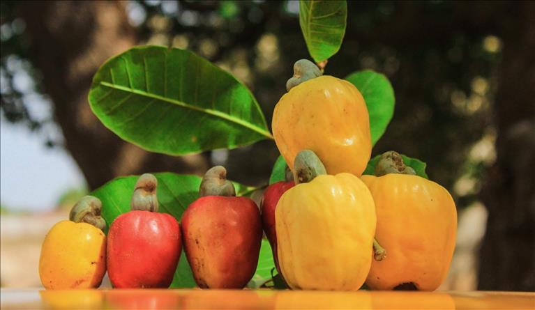 Foodtechbolagen som vill revolutionera branschen